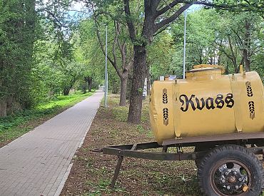 Не купить даже безалкогольные напитки: абсурд новых правил вызывает возмущение