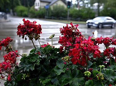 Jaunnedēļ laikapstākļi Latvijā būtiski nemainīsies