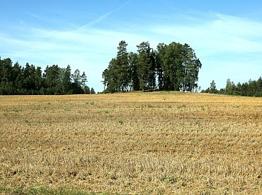 Ieguldījumiem lauku saimniecībās pieejams atbalsts desmit miljonu eiro apmērā