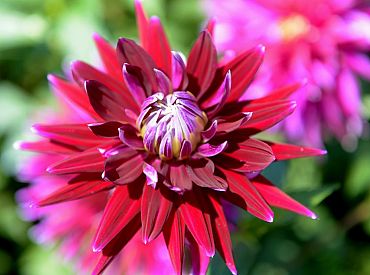 Pirmdien Zemgalē gaisa temperatūra sasniegs +26 grādus