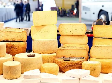 Сыр или сырная резина: что нам продают по диким ценам