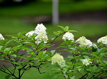 Sestdien Latgalē gaisa temperatūra pakāpsies līdz +28 grādiem