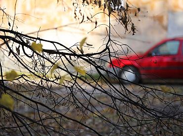 Задержан первый автомобиль с российскими номерами. Литовская таможня хочет передать его Украине