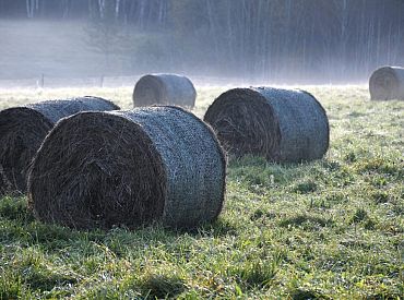 Vides aizsardzības politiku turpmāk pārraudzīs KEM