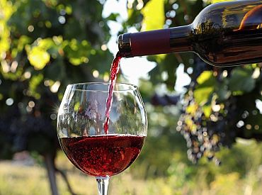 «Пусть они пьют как можно больше». Элитное итальянское вино Медведева везут через Латвию в Россию