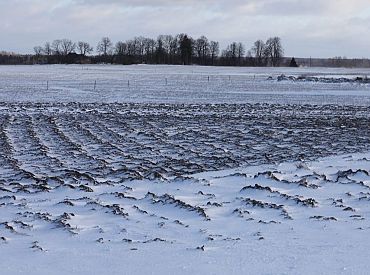 Ceturtdien daudzviet valstī gaidāma neliela snigšana