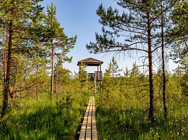 Latvijas dabas takas iekļautas «Lonely Planet» nākamā gada ceļvedī
