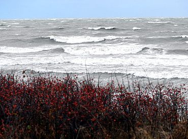 Sestdien Latvijā brīžiem līs un plosīsies vējš, svētdien laikapstākļi uzlabosies