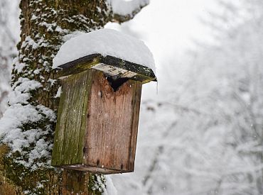 Tuvākajā diennaktī spēcīgi snigs un nedaudz putinās