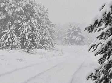 Sestdiena būs nedēļas siltākā diena; nākamnedēļ gaidāms sniegs un sals