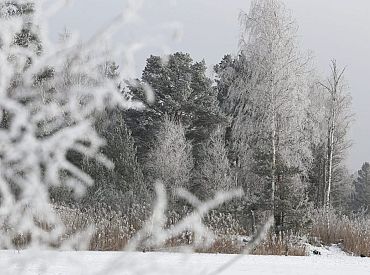 Ceturtdien, pūšot brāzmainam vējam, laiks kļūs saulaināks un vēsāks