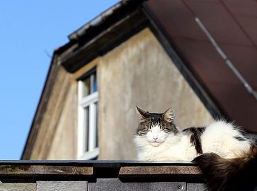 Līdz svētdienas pusdienlaikam piecās novērojumu stacijās pārspēti siltuma rekordi