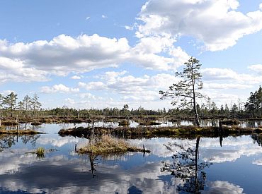 Аж до Хельсинки дотянулась? Финны жалуются на вонь из латвийских болот в Кемери