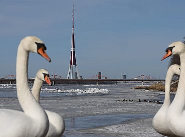 Долгожданное тепло придет в Латвию в Вербное воскресенье: может потеплеть до +16 градусов