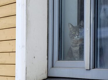 Iedzīvotājus un uzņēmējus mudina sākt izmantot Rīgā nesen nomainītos ielu nosaukumus