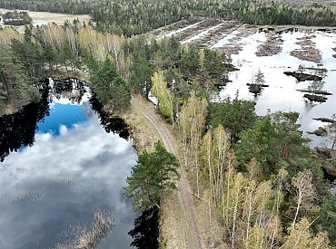 В Латвии затоплены поймы рек, обещают раннего появления комаров