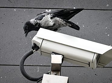 Rīgas pašvaldība aizņemsies 625 000 eiro videonovērošanas tīkla paplašināšanai