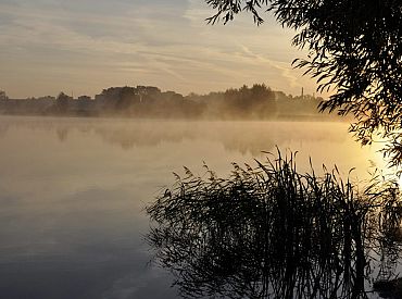 В пятницу водителей ждет особенно туманное утро: прогноз погоды