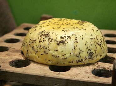 Zelta siers: kā pirms Līgo uzskrūvēja tradicionālās uzkodas cenas