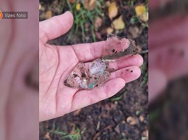 Откуда вокруг новой детской площадки в Зиепниеккалнсе столько битого стекла?  Мамы в шоке
