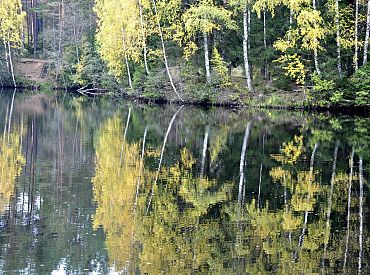 Пруд провалился сквозь землю вместе с рыбой: ЧП в Скайсткалне