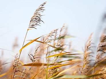 Начало октября в Латвии выдалось неожиданно холодным