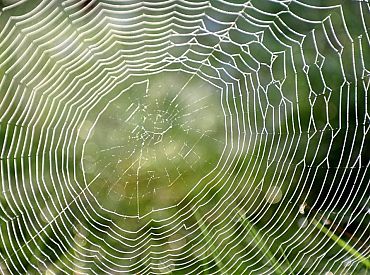 Septembra vidus Latvijā bijis 4,7 grādus siltāks nekā ierasts