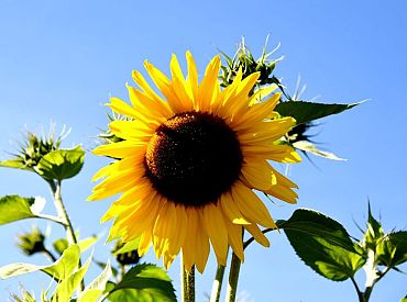 В Риге сотни людей приняли участие в шествии в поддержку Украины