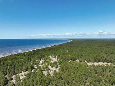 Latvija iestājusies mežiem bagāto valstu stratēģiskajā aliansē «For Forest Group+»