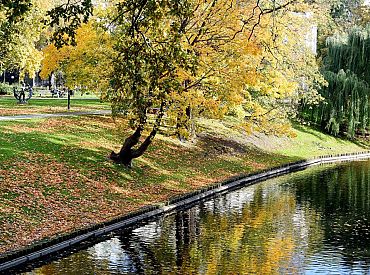 Потеплеет или ударят морозы? Какую погоду ожидаем на этой неделе