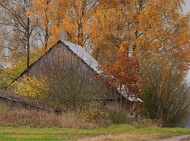 Aptauja: Apmēram puse Rīgas un citu lielo pilsētu iedzīvotāju apsvērtu iespēju pārcelties uz laukiem