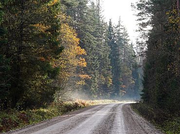 Jaunās nedēļas sākums būs lietains, bet izskaņa — sausāka un nedaudz vēsāka
