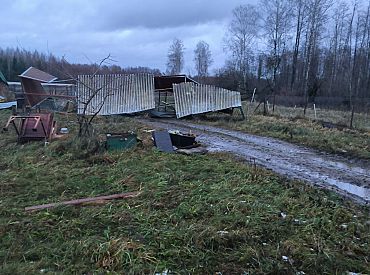 Нужна помощь с конюшней и вывозом веток: приют Ķepu Ķepa нуждается в помощи волонтеров