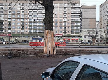 Пёсик что-то съел и умер: жительница Зиепниеккалнса предупреждает рижан
