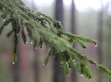 Saglabājoties siltam laikam, otrdien daudzviet gaidāms lietus