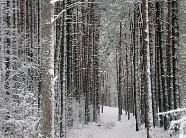 Otrdien gaidāmi nelieli nokrišņi un brāzmains vējš