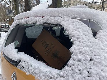 «В интересное время живем»: уволенной из Минэкономики советнице министра выбили стекло в машине