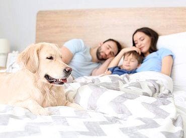 Родители, дети и не только: льготы на иждивенцев — по-новому