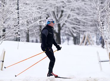 Фенолог Букшс дал прогноз на Зимние праздники: ждать ли снега по приметам?
