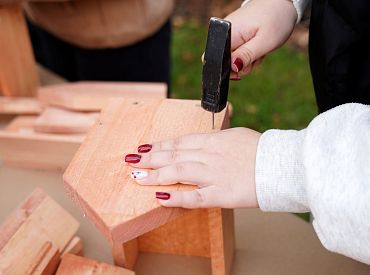 Привыкайте, дети! Школьники «положили» сайт NVA, пытаясь во время уроков заполучить работу на лето