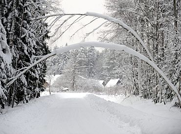 Последние дни зимы: в конце месяца начнется потепление