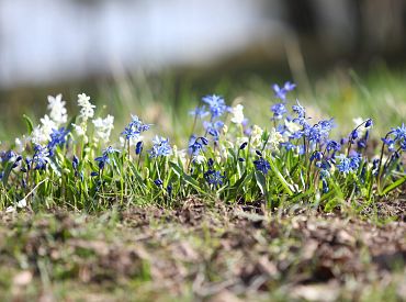 Погода постаралась: 6 марта в Латвии зафиксирован новый рекорд тепла