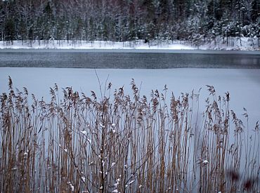 Naktī vietām Latvijas austrumos gaidāms sniegs un slapjš sniegs