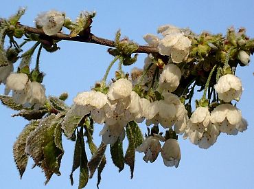 Тёплым будет только один день: какую погоду синоптики обещают нам на длинные выходные?