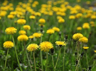 Otrdien pūtīs brāzmains vējš un palaikam spīdēs saule