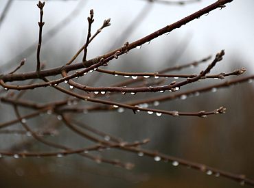 Синоптики о субботе: осадков не будет, но появится туман