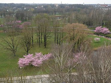 На Латвию идёт циклон: сильные ливни с грозами — по всей стране