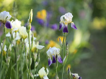 В последниий день весны погода переменчивая. Ждем лето!