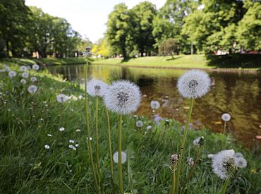 Brīvdienās saule mīsies ar mākoņiem, nākamā nedēļa sāksies ar lietu