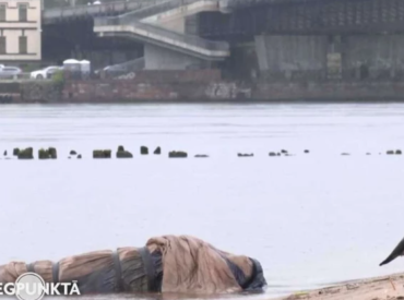 На Кипсале в воде нашли завёрнутый в одеяло труп свиньи без головы